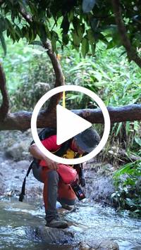 BIB:  <button type="button" onclick="openModal(27825290)" class="btn btn-primary btn-sm float-right" data-toggle="modal" data-target=".modal-high-quality">
                <i class="fa fa-download"></i> Download
                </button>